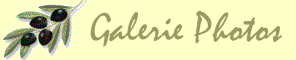 Galerie Titre